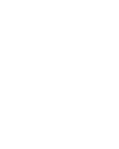 Logo R blanc